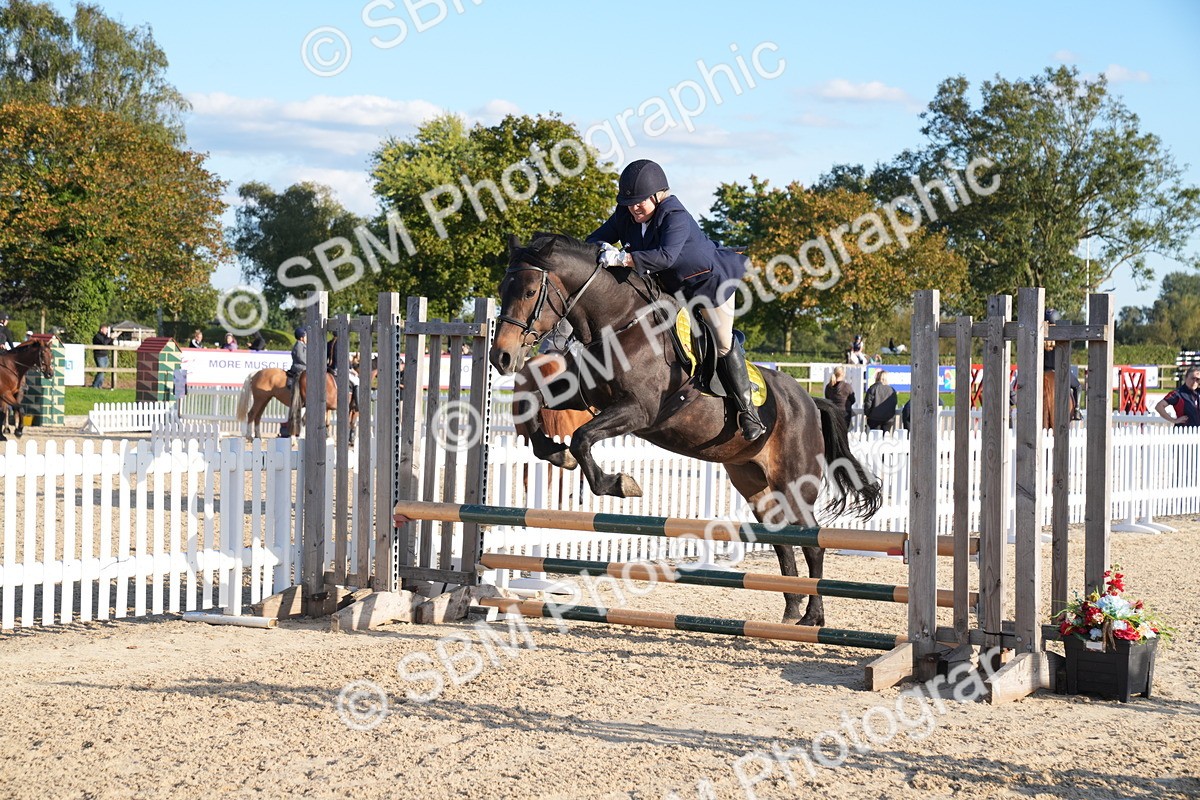 SBM_29906 - J44 - Super Speedy Scurry Open - 70cm