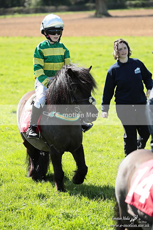 Shet 060426 374 - Shetland Pony Racing Paxford Races Easter Mon 06/04/26