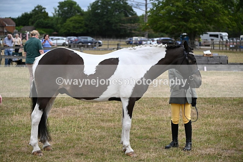 WJ6_4316 - Class 10 Coloured In-hand