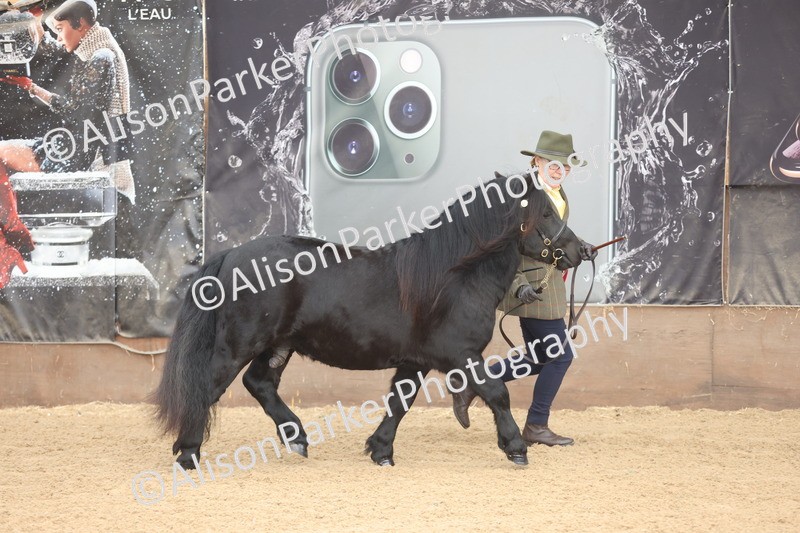 20251109-0063 - Class 3 - 2 and 3 Year Old