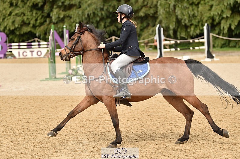 230618-152816-13151 - Cls 21 128cm HOYS 2nd Round