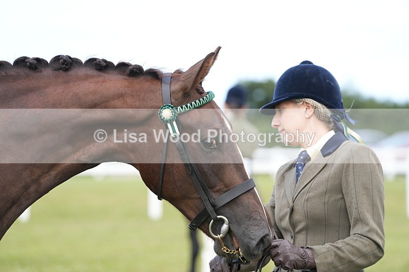 DSC06228 - Class 54: Hunter/Riding Horse/Hack 1 & 2 yr olds
