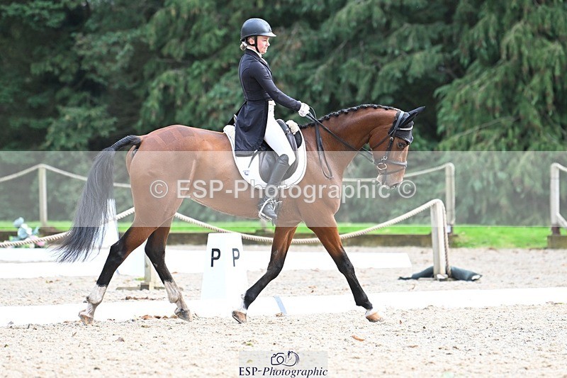 231019-163340-05365 - 070-SLIGO.CASTLE.JACOMAR-Veera.Peltokangas-DR