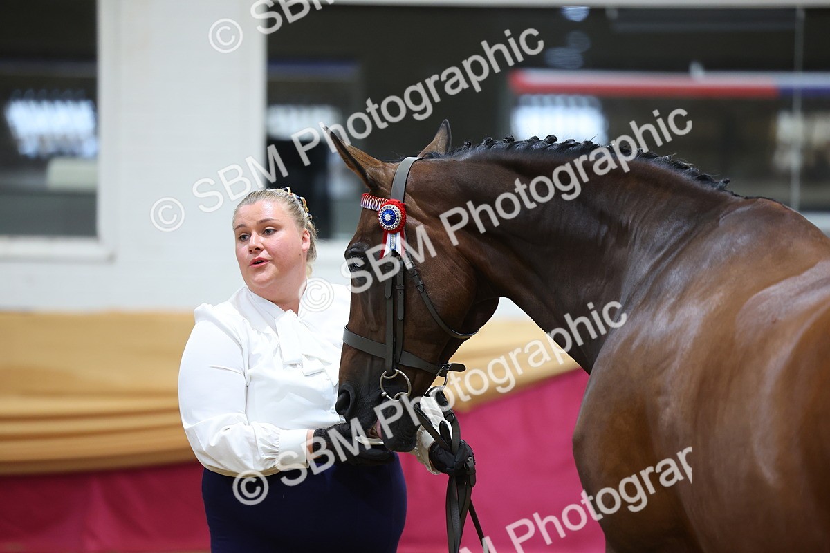 SBM_21056 - Class 902 - Supreme Final IH Veteran