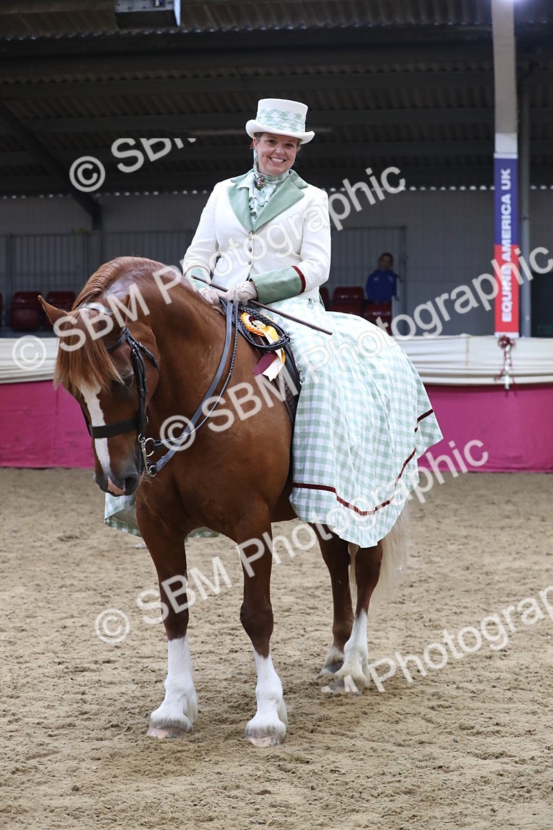 SBM_12061 - Class 106 Ridden Costume- Astride Adult (15-19)
