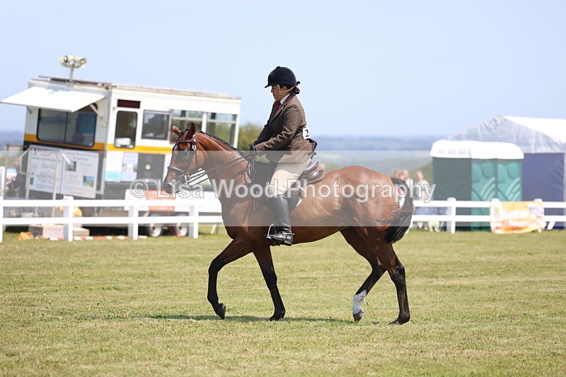 3E7A9327 - Class 12: Open Racehorse to Show Horse