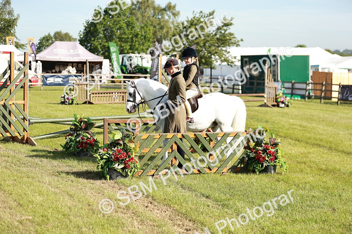SBM_11255 - Class 106-107 - BSPS LIHS Working Sports Pony