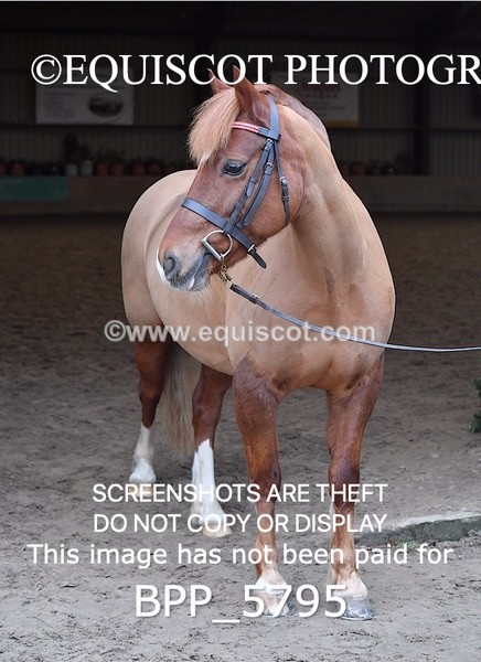 BPP_5795 - Sarah Page