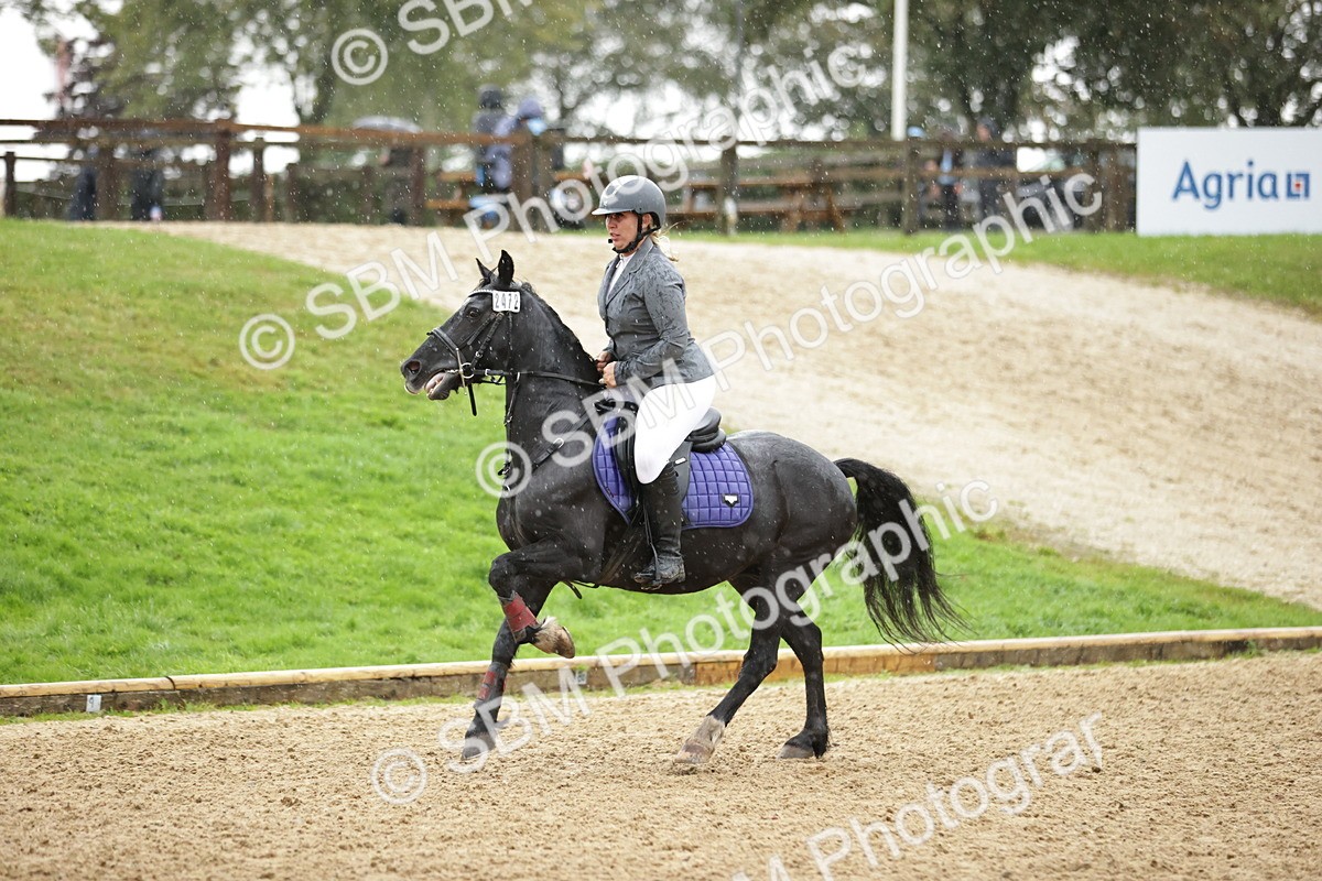 SBM_35982 - J38 - Senior Horse & Pony 80cm Championship