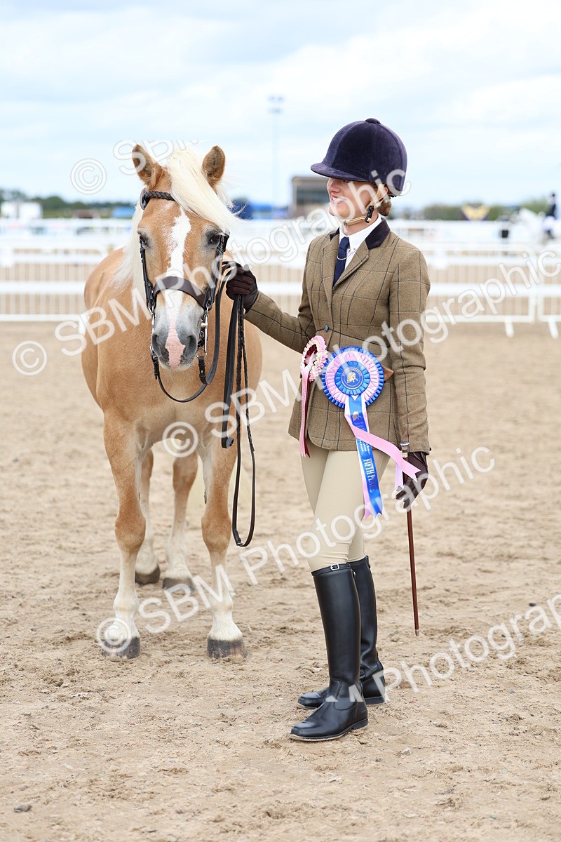 SBM_03998 - Class 25 - IH Foreign Breeds - Pure Bred