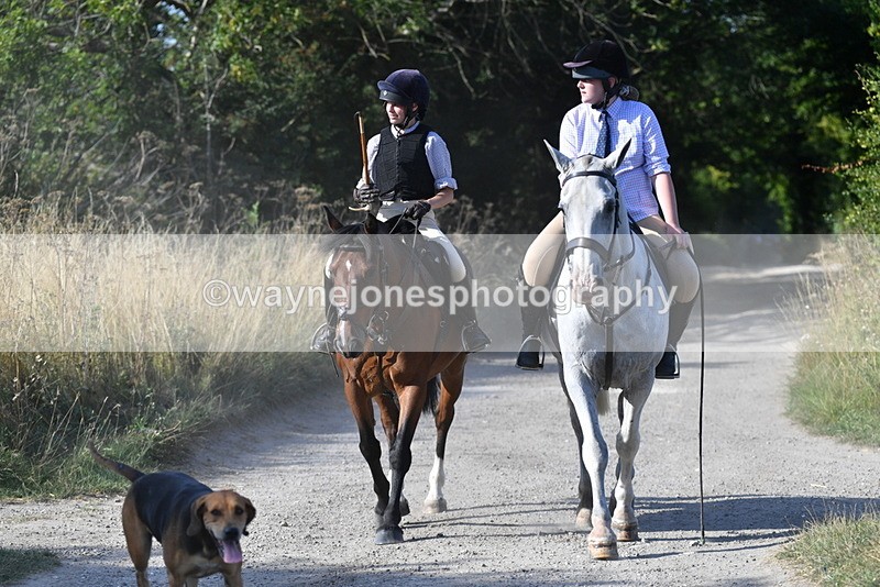 WJ5_4820 - Walk out with the hounds