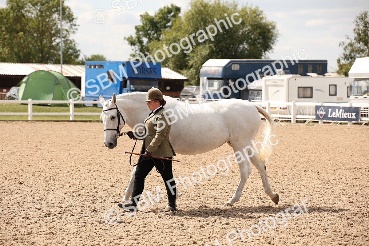 SBM_04628 - Class 20 IH Veteran