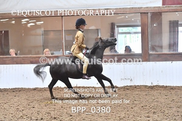 BPP_0380 - RING 1