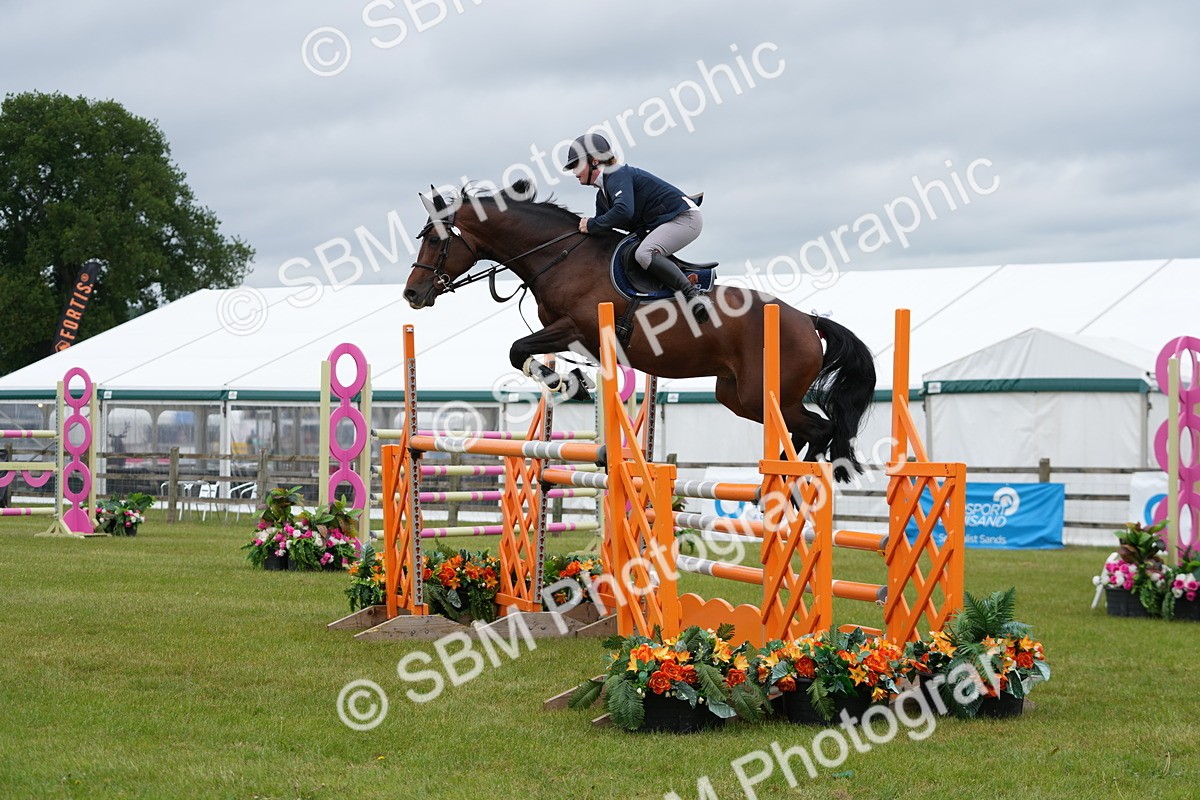 SBM_03340 - Class 201 - British Horse Feeds Speedi Beet Horse of the Year Show Grade  C