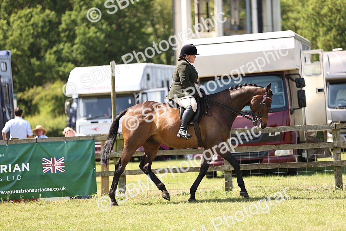 SBM_14839 - Class 78 - LIHS BSHA Open Racehorse & Show Horse
