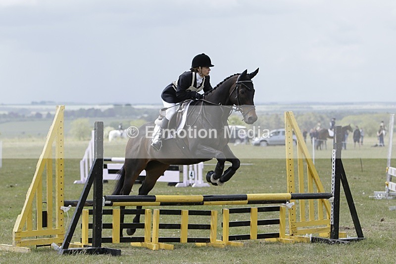 BVHT 140517 N-396 - Class 2 SJ Novice 14/05/17