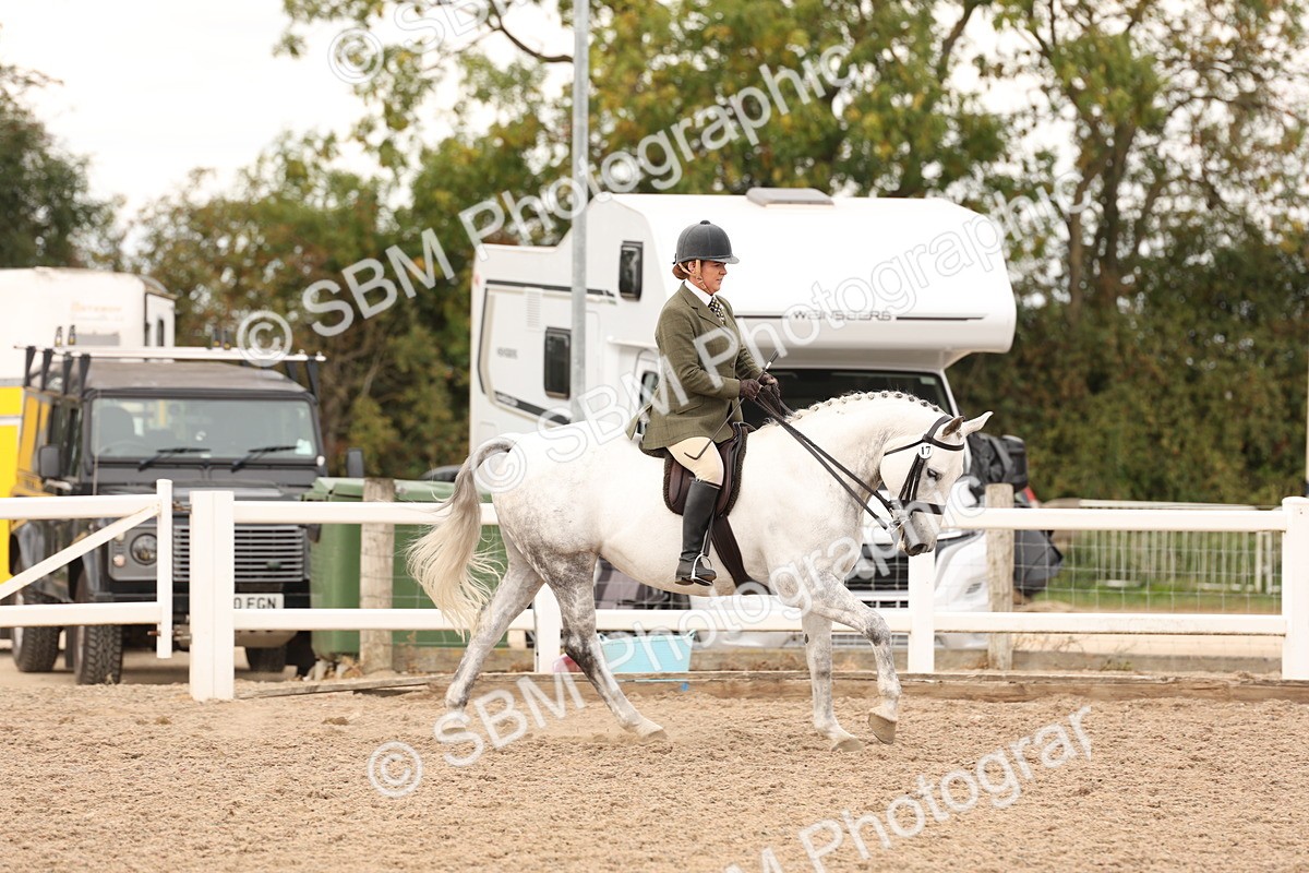 SBM_16479 - Class 212 - Ridden Hunter - Small