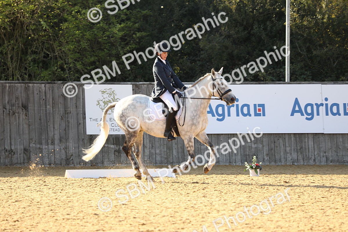 SBM_28712 - D20 - Grand Tour Championship - Elementary 44