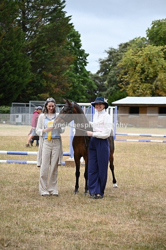 WJ6_8448 - Class 10 Coloured in Hand
