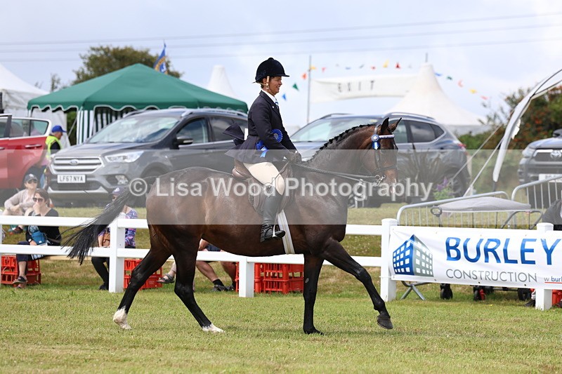 3E7A0502 - Rising Star Ridden Championship