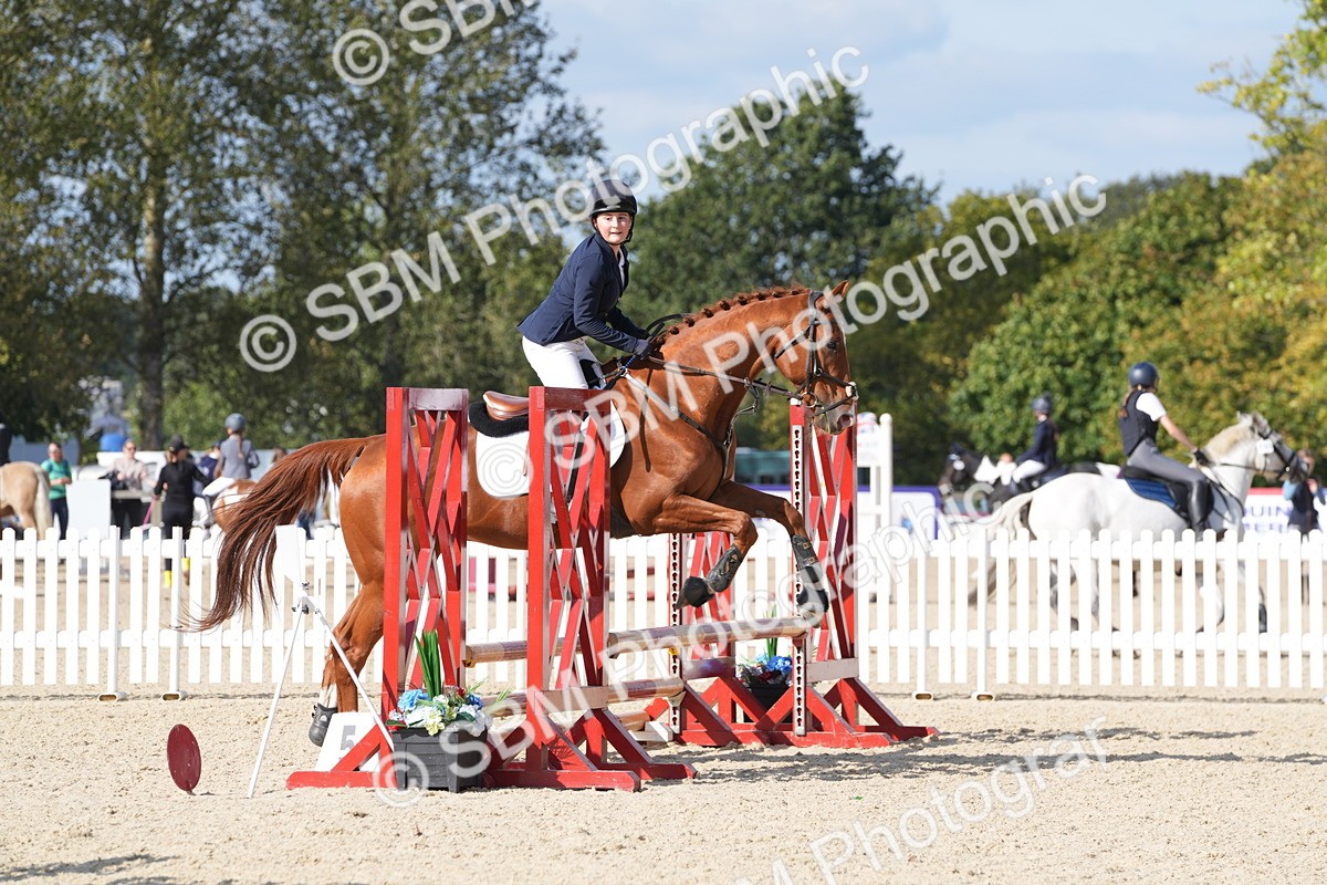SBM_48628 - J22 - Junior Horse 65cm Championship