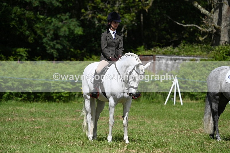WJ7_1748 - Class 9 Pony Club Pony