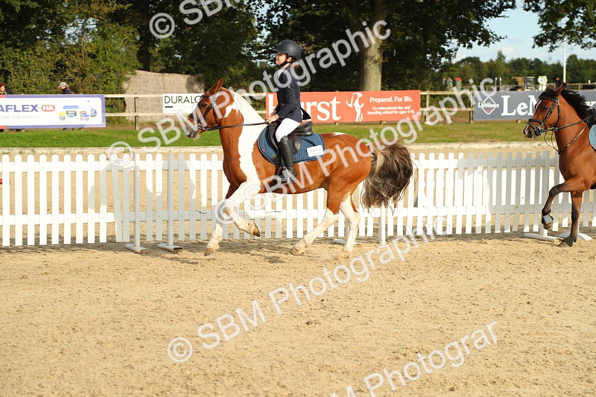 SBM_51774 - J7 - Junior Pony 60cm Championship