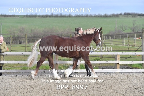 BPP_8997 - RING 2 - M&M