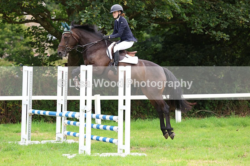 3E7A7007 - Class 5: Senior British Novice/90cm open