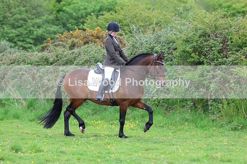 3E7A1957 - Class 10: Ridden Sports Horse