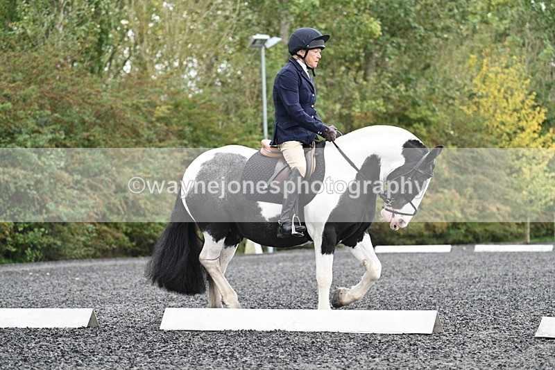 WJ7_3193 - Time 09:54 to 10:54