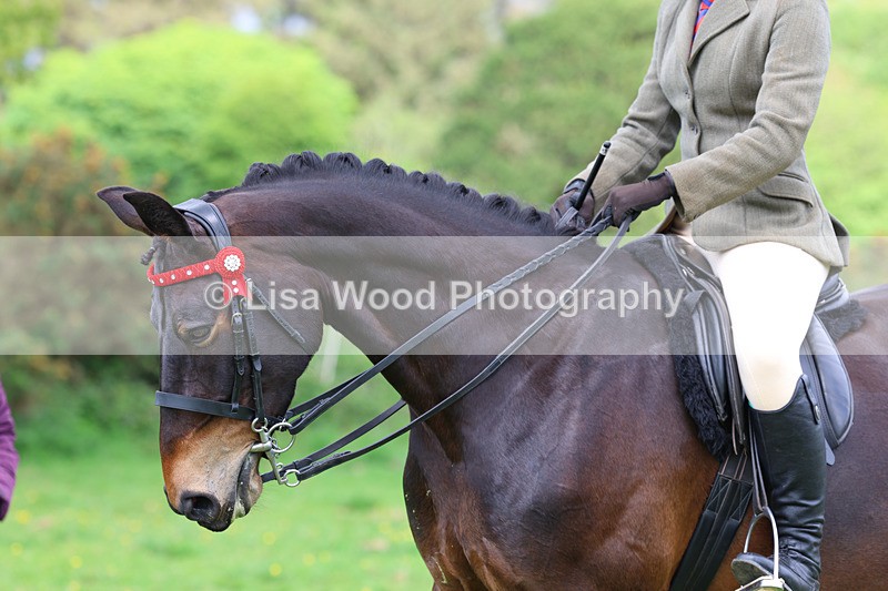 3E7A2019 - Class 10: Ridden Sports Horse