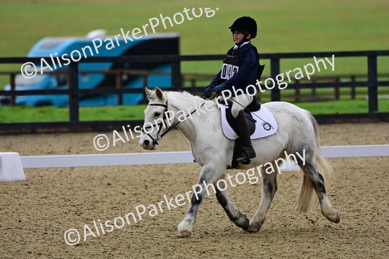 20260125-0516 - Class 9b - Walk Trot Unassisted