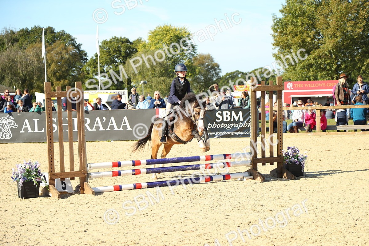 SBM_35993 - J5 - Junior Pony 50cm Championship