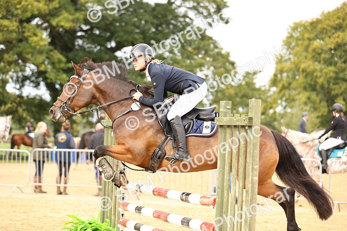 SBM_58434 - J41 - Grand Tour Horse & Pony 95cm