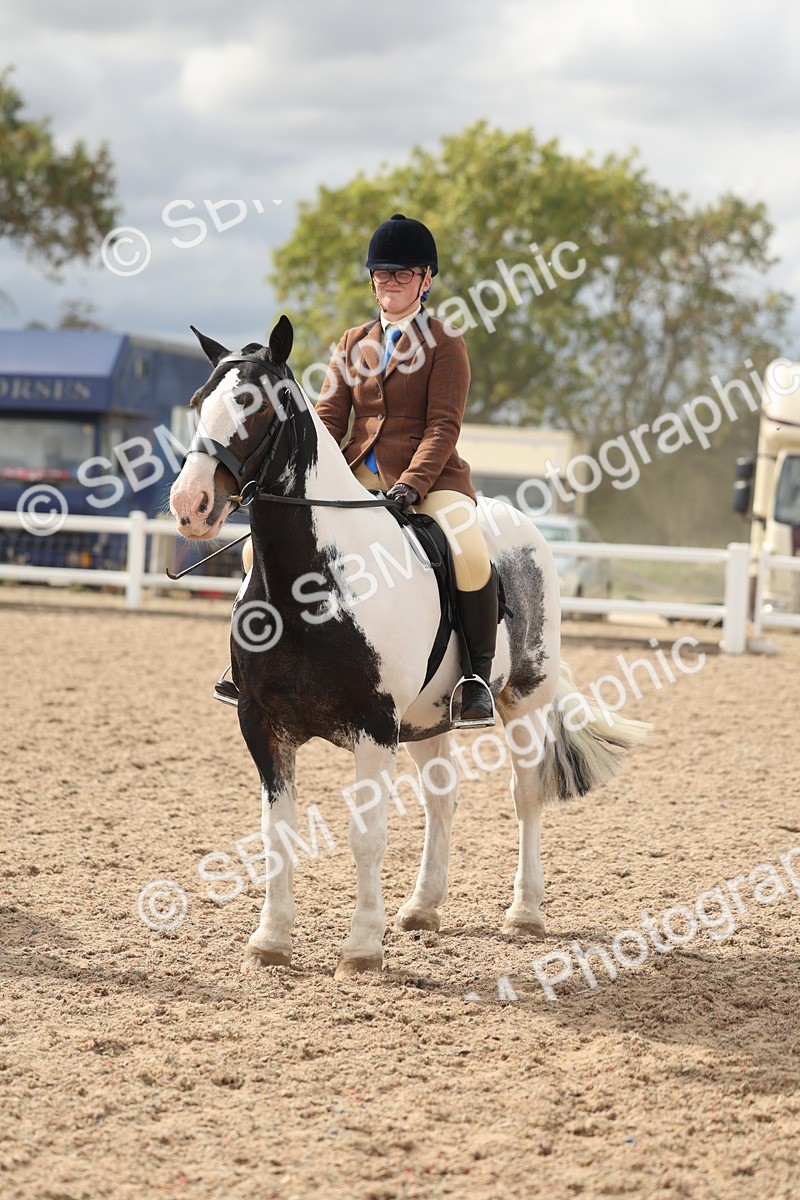 SBM_18045 - Class 314 - Family Horse Pony