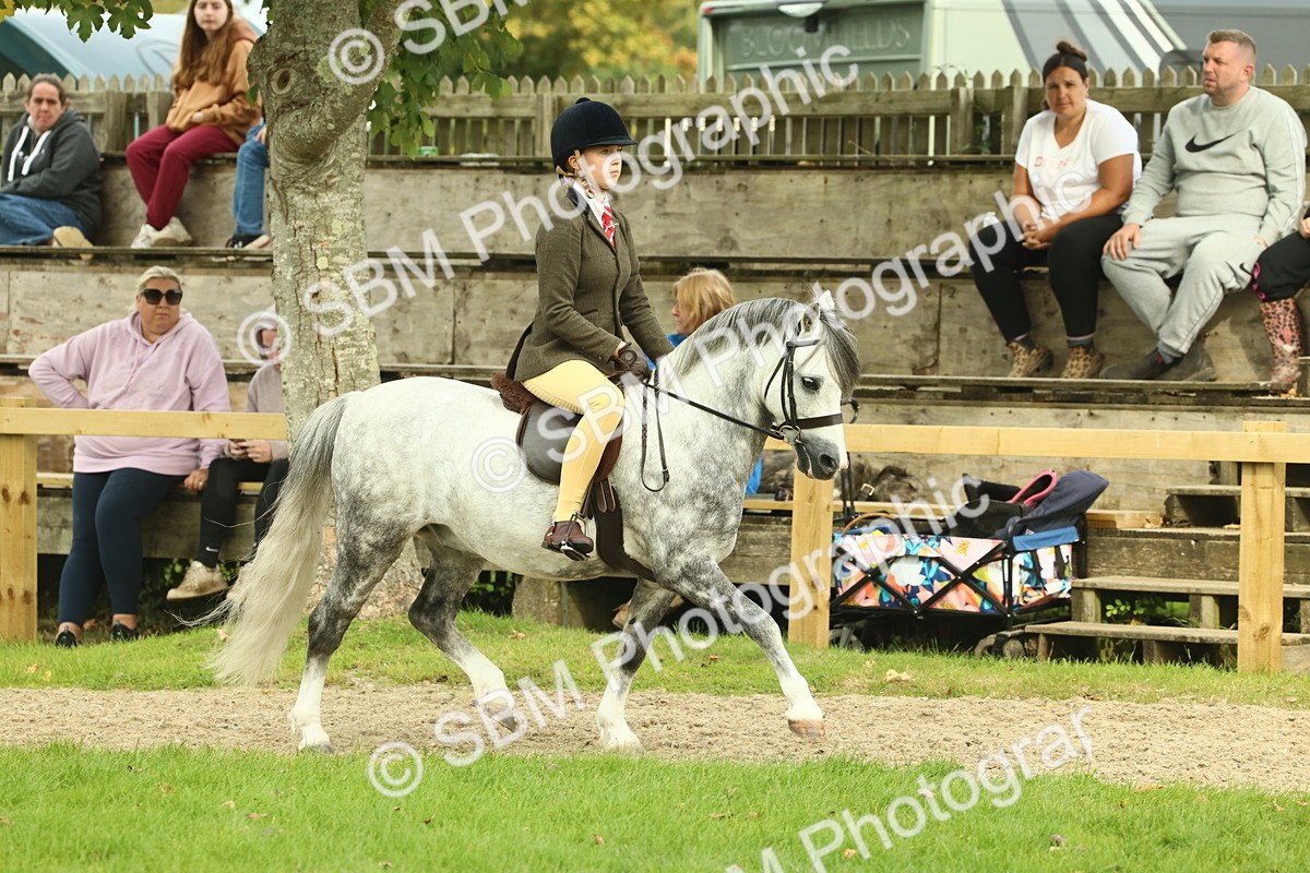 SBM_69855 - S59 - Mountain & Moorland Ridden Small Breeds