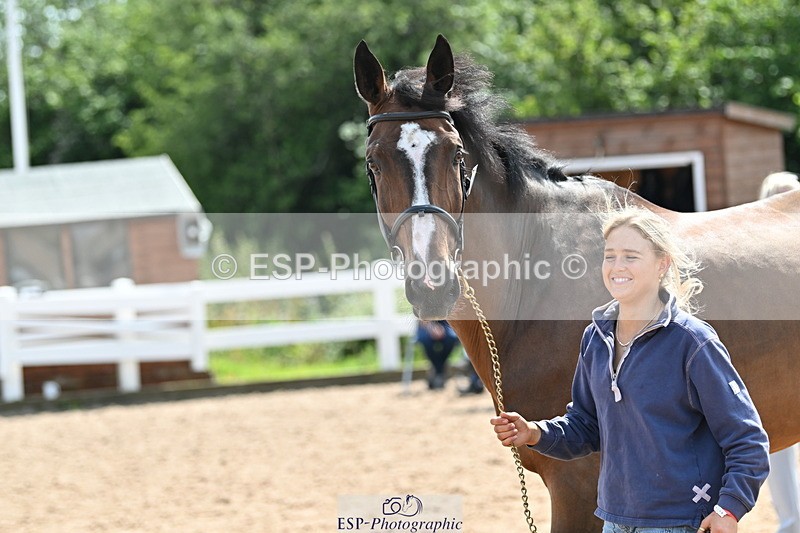 240717A-150957-02596 - Trot Up 3pm to 4pm