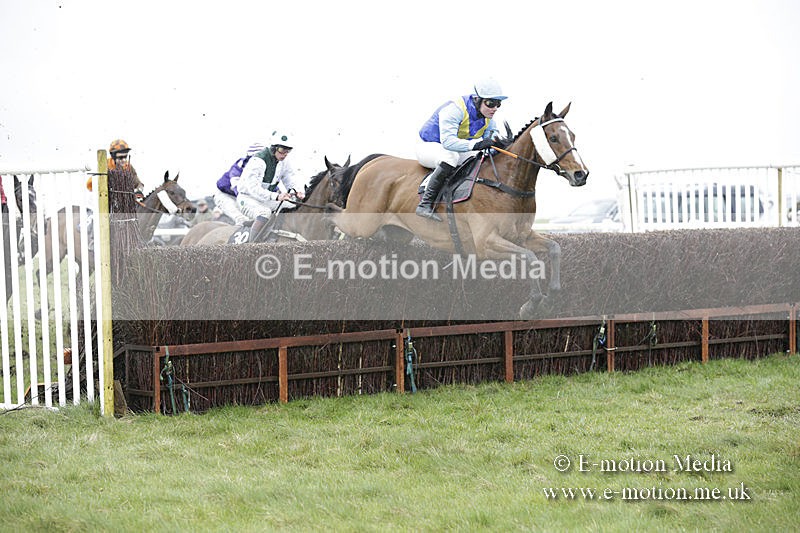 PtP 150320 0296 - New Forest Point-to-Point Larkhill 15/03/20