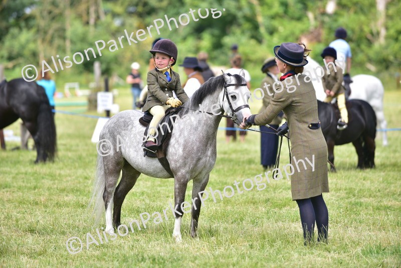 20260614-1273 - Class 11a - Lead Rein Pony (Unplaited)