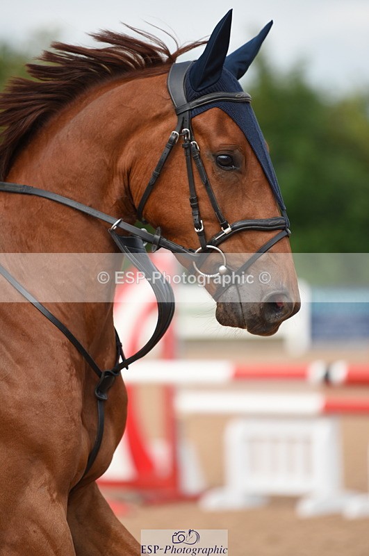 230628A-102152-00075 - Cls 1 British Novice & 90cm Open