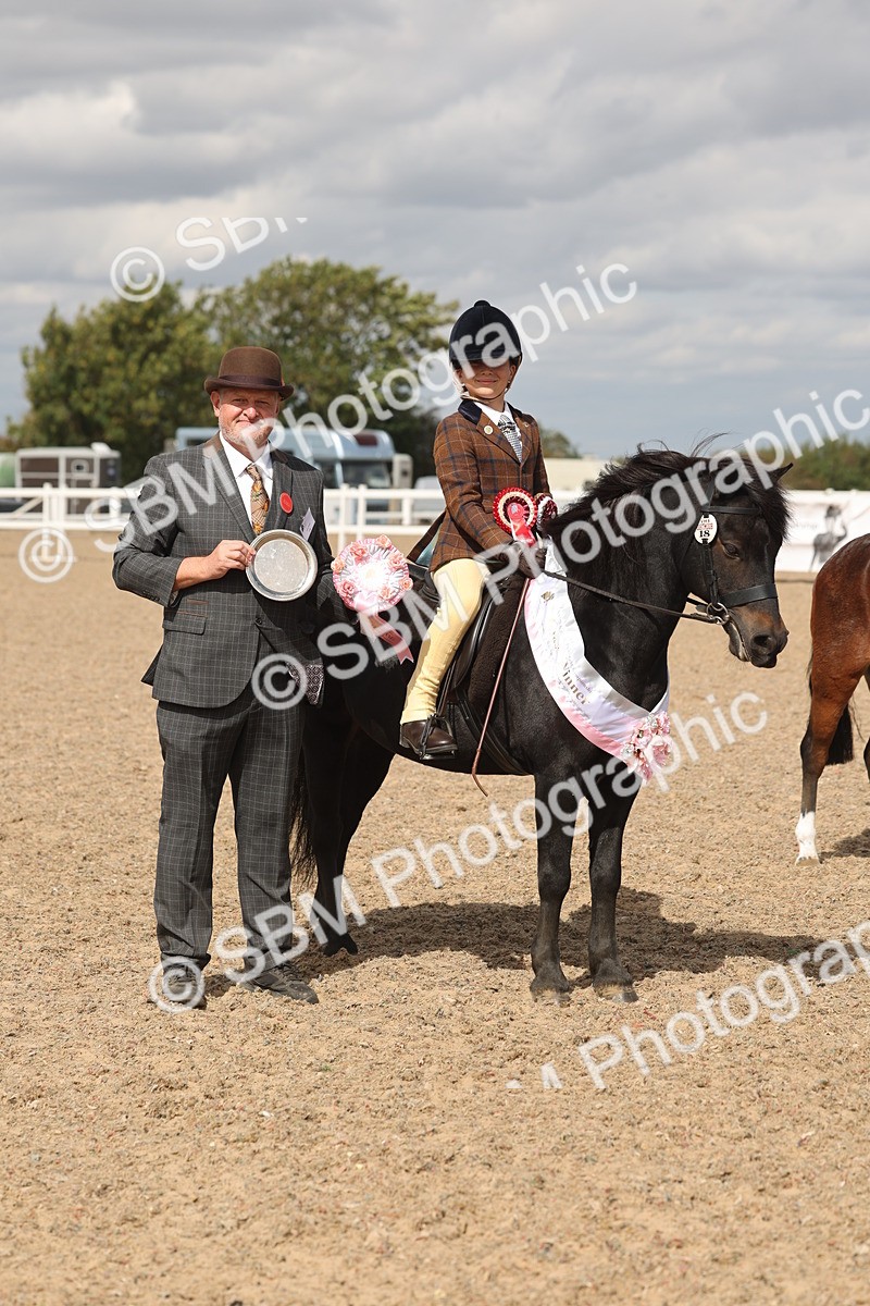 SBM_15913 - Class 310 - First Ridden Pony