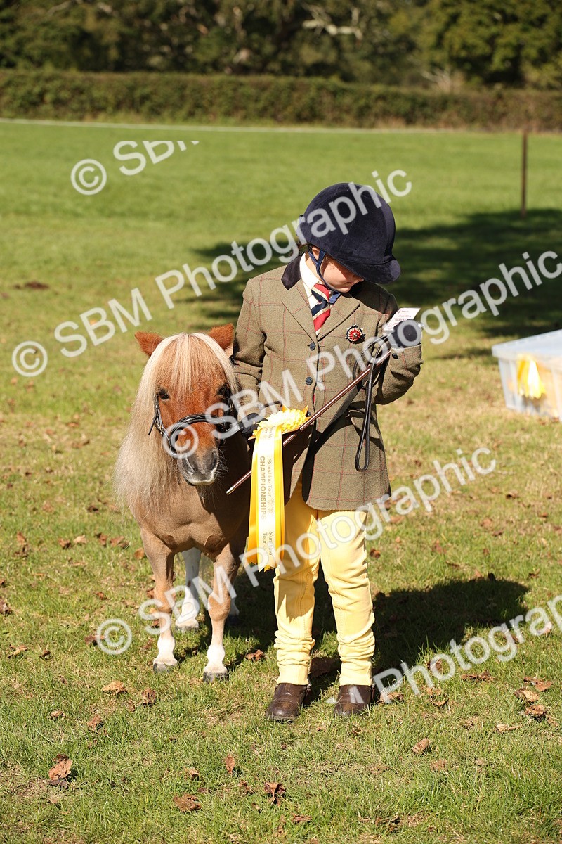 SBM_36687 - S10 - Best In Hand Horse & Pony