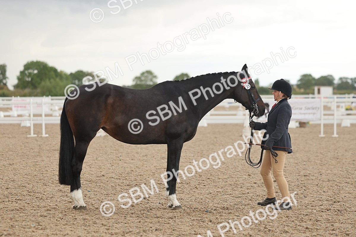 SBM_07670 - Class 26 - IH Foreign Breeds - Part Bred