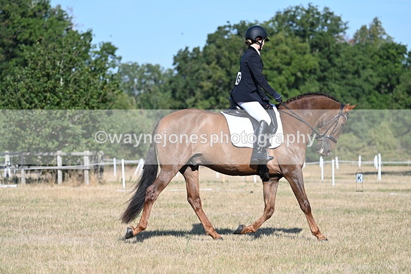 WJ7_8741 - Time 09:00 to 09:24