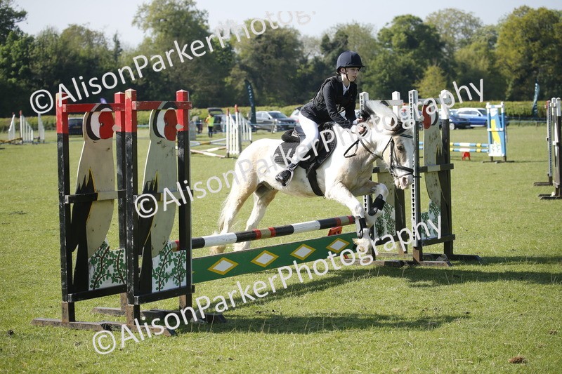 20250427-0383 - Class 12 - Rookie Jumping 40cm