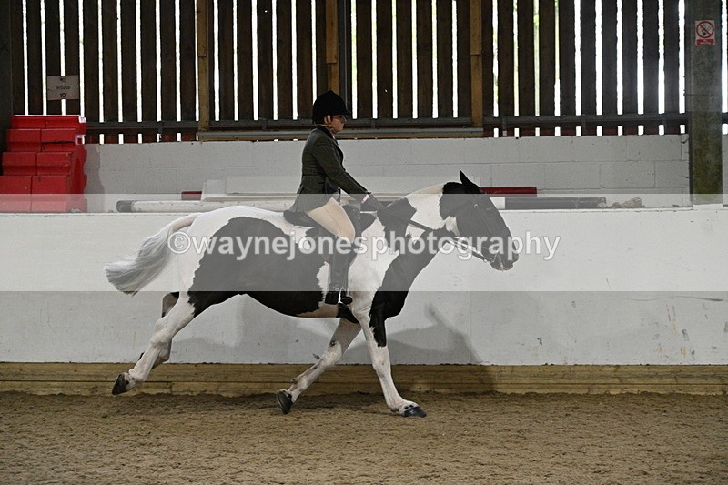 WJ7_4085 - Class 17 Ridden Cob