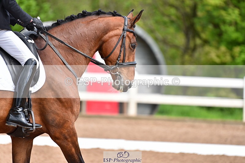 230511A-105838-00359 - BD Cls 5 Novice 37A