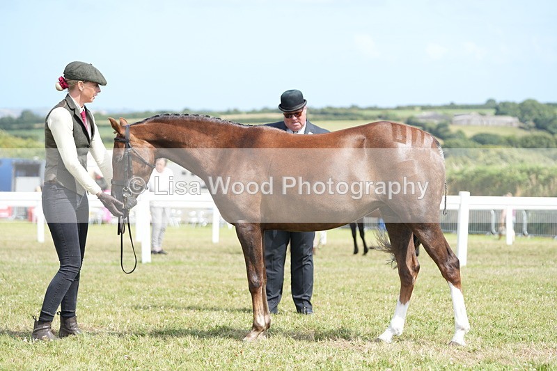 DSC07439 - Class 70: NPS SHP 4 years and over
