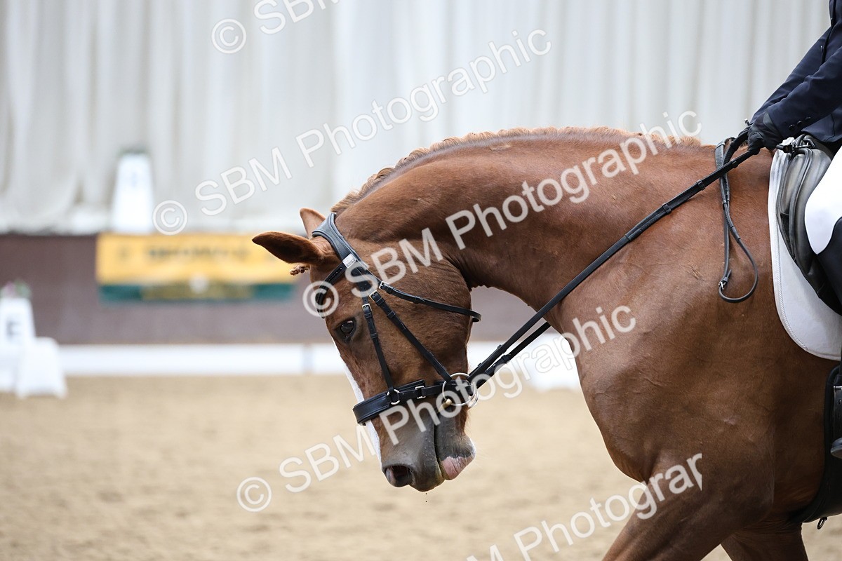 5K7A0250 - Novice 2